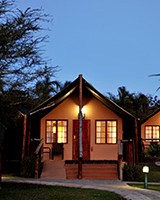 zulu nyala heritage